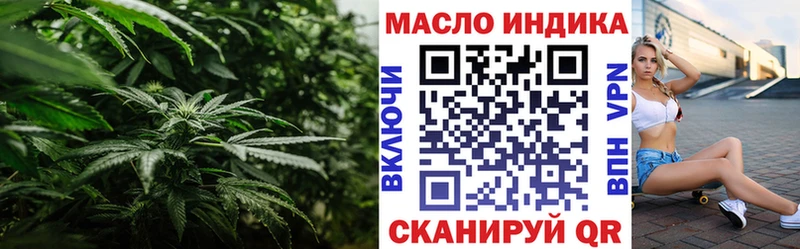дарк нет как зайти  Шенкурск  ТГК гашишное масло 